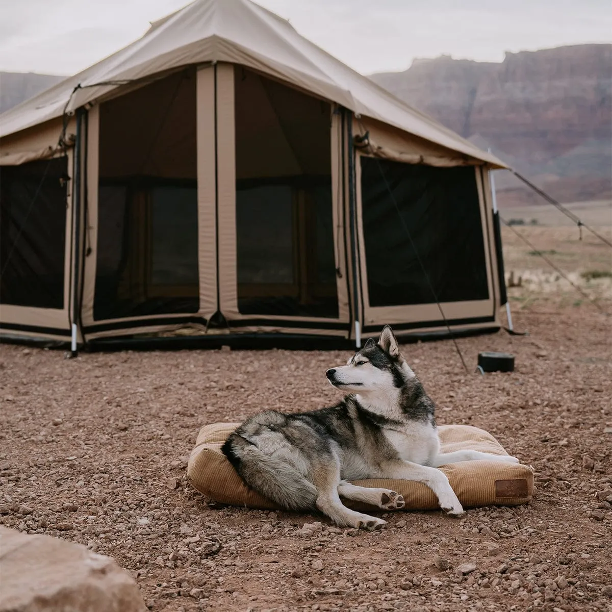 14' Altimus | Canvas Bell Tent | White Duck Outdoors