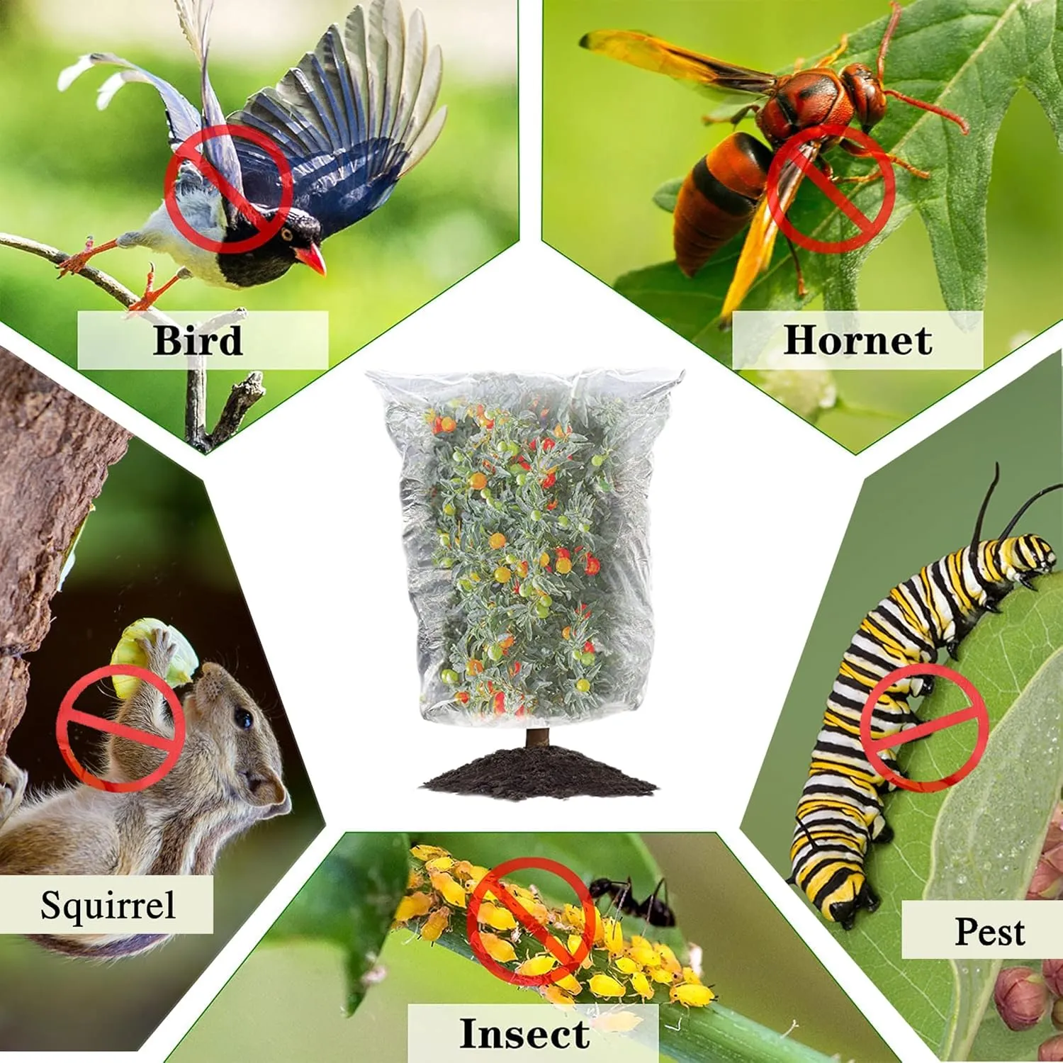 3.28×2.62FT Birds Garden Mesh Netting, 4 Pack Plant Insect Netting with Drawstring - Fruit Tree Cover Pest Barrier Bag Protect Blueberry Bush/Tomato/Cherry/Strawberry from Bugs,Cicadas,Squirrel