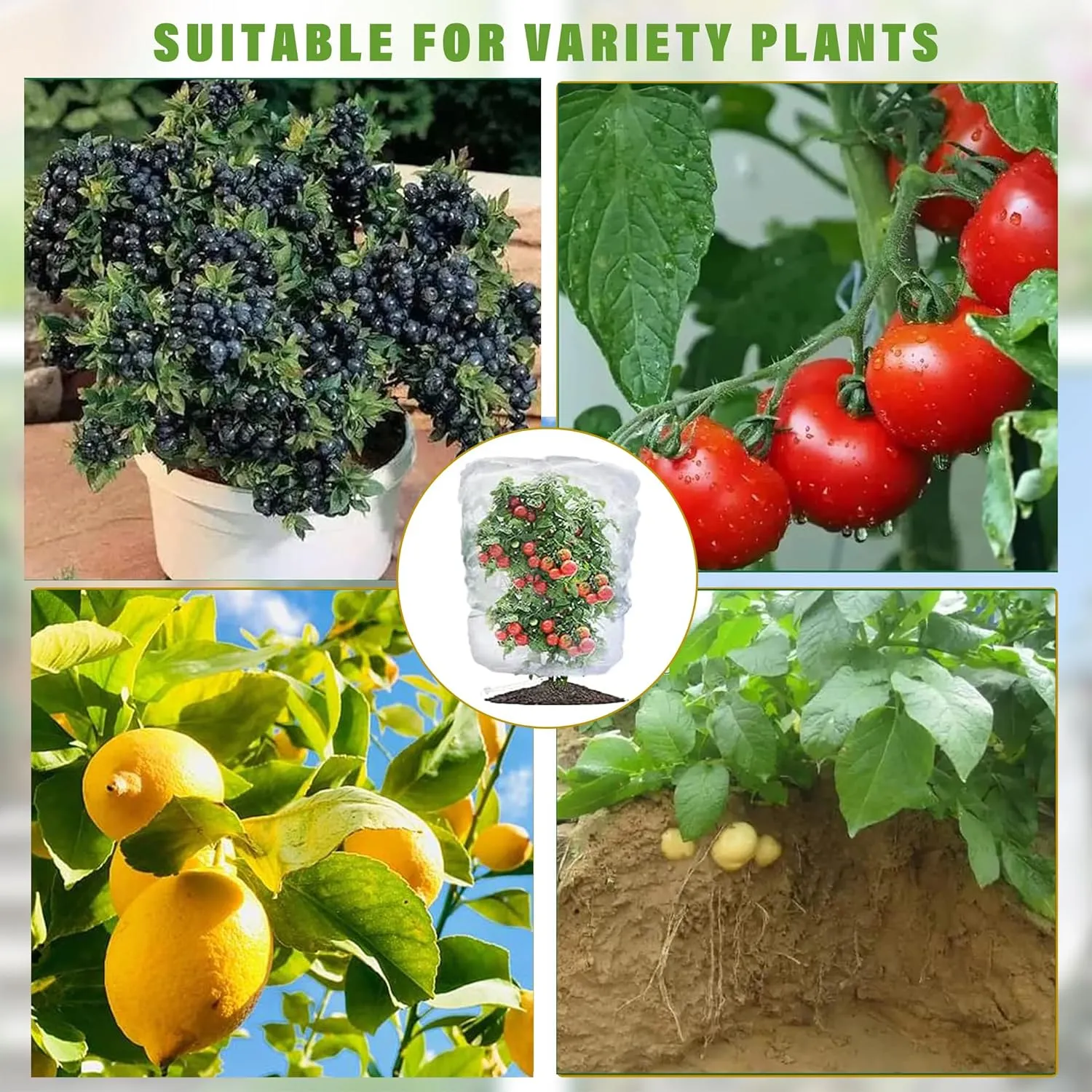 3.28×2.62FT Birds Garden Mesh Netting, 4 Pack Plant Insect Netting with Drawstring - Fruit Tree Cover Pest Barrier Bag Protect Blueberry Bush/Tomato/Cherry/Strawberry from Bugs,Cicadas,Squirrel
