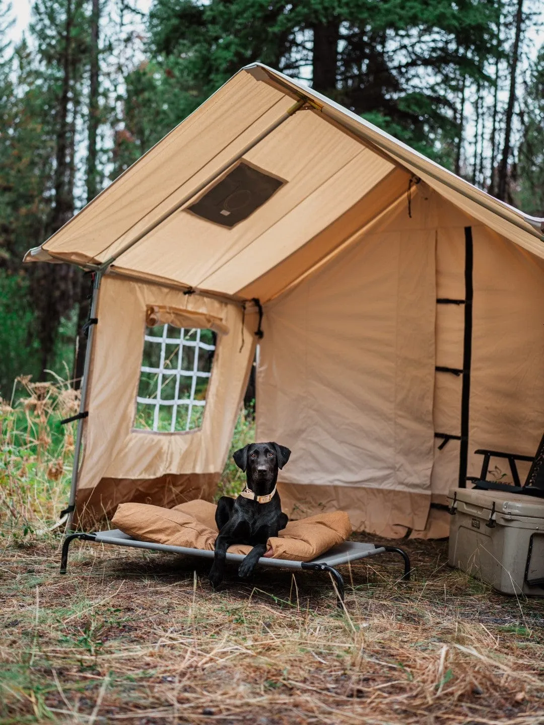 Alpha | Canvas Wall Tent | White Duck Outdoors