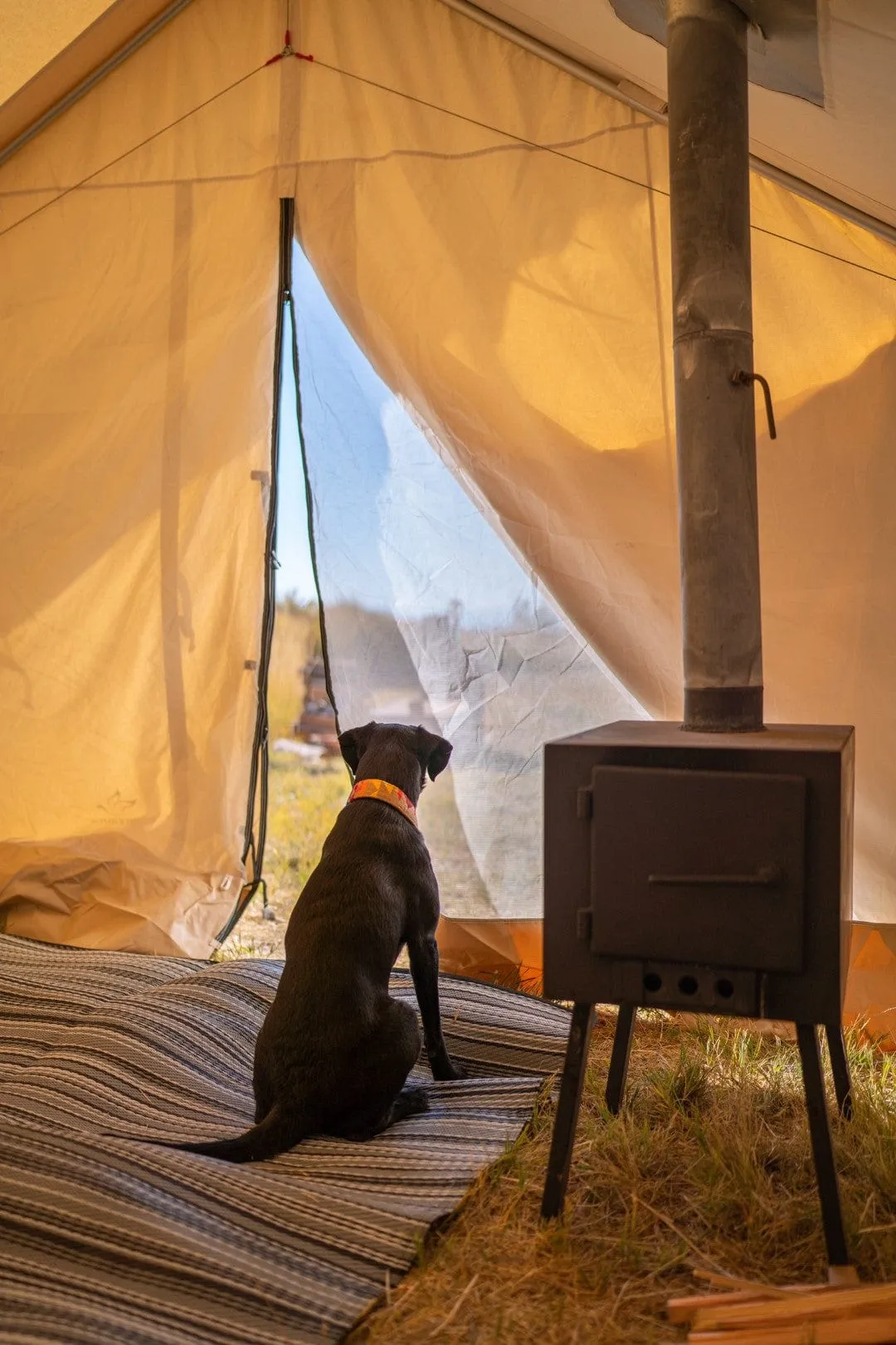 Alpha | Canvas Wall Tent | White Duck Outdoors