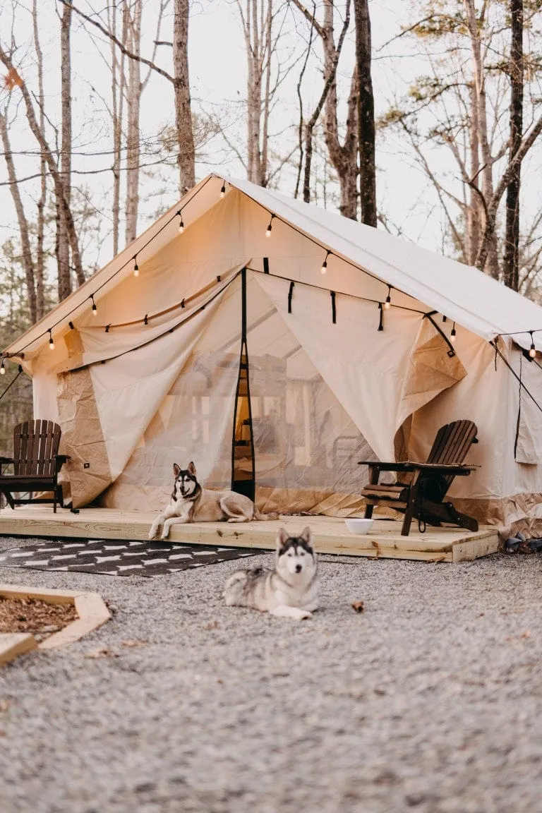 Alpha | Canvas Wall Tent | White Duck Outdoors