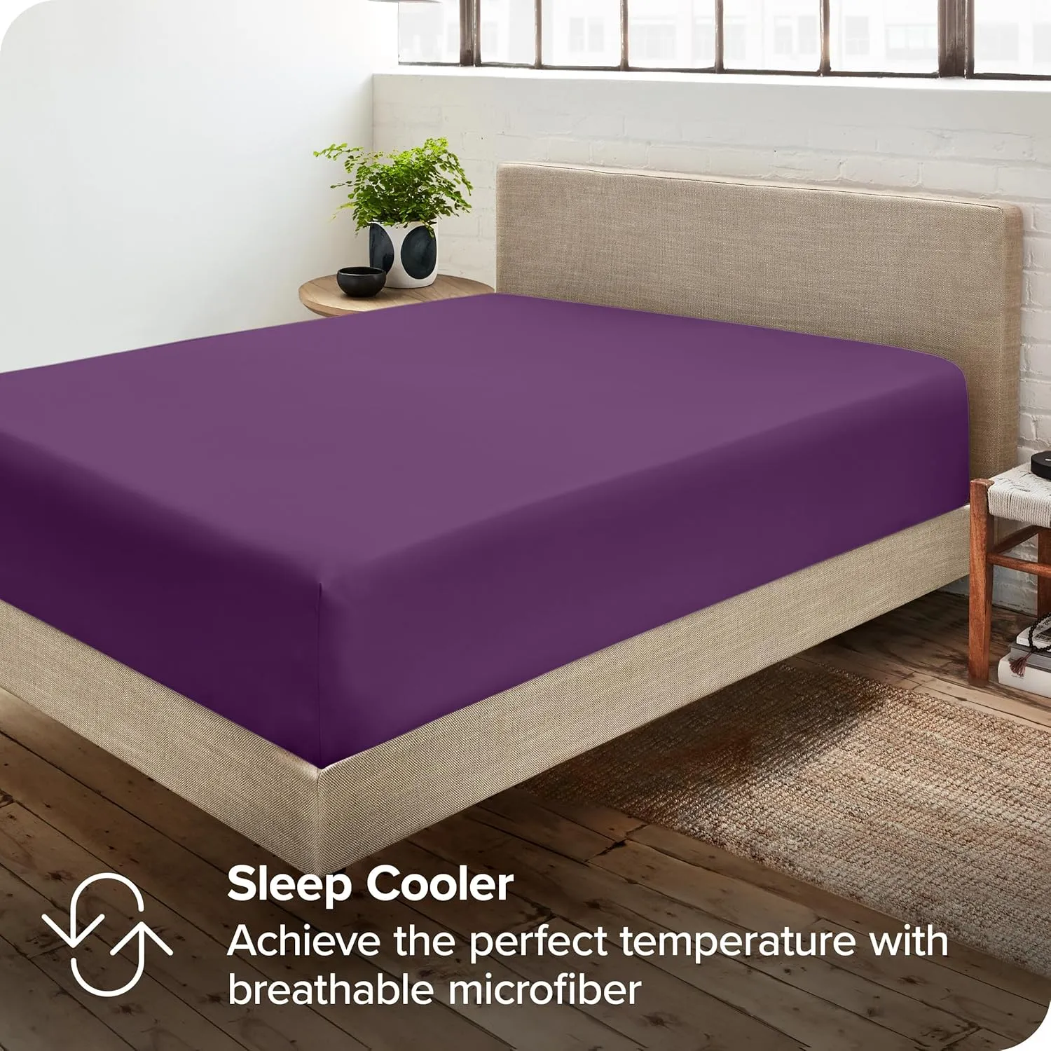 Bare Home 2-Pack Fitted Bottom Sheets Queen - Premium 1800 Ultra-Soft Wrinkle Resistant Microfiber - Deep Pocket (Queen, Plum)