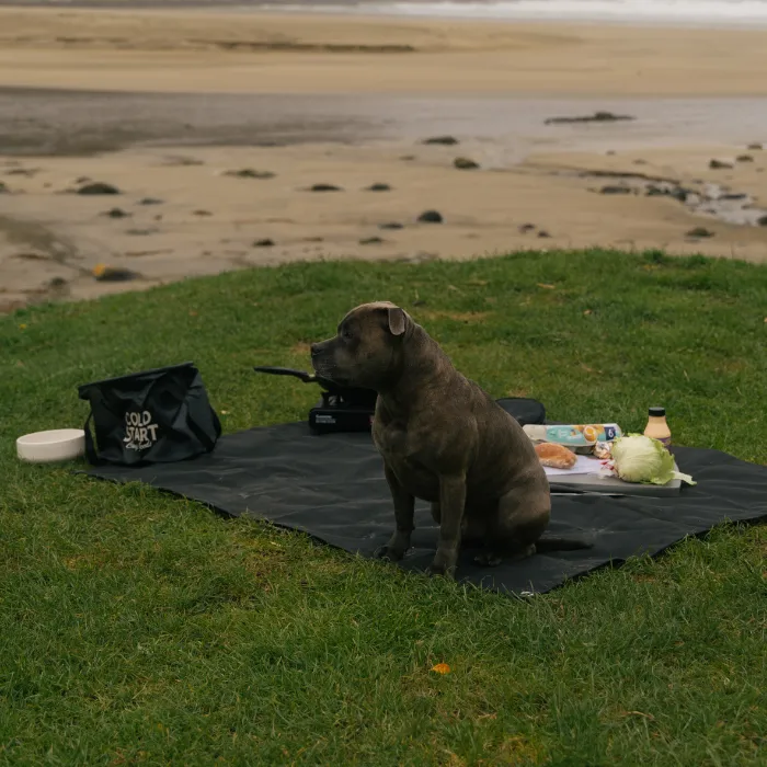 Canvas Utility Picnic Mat