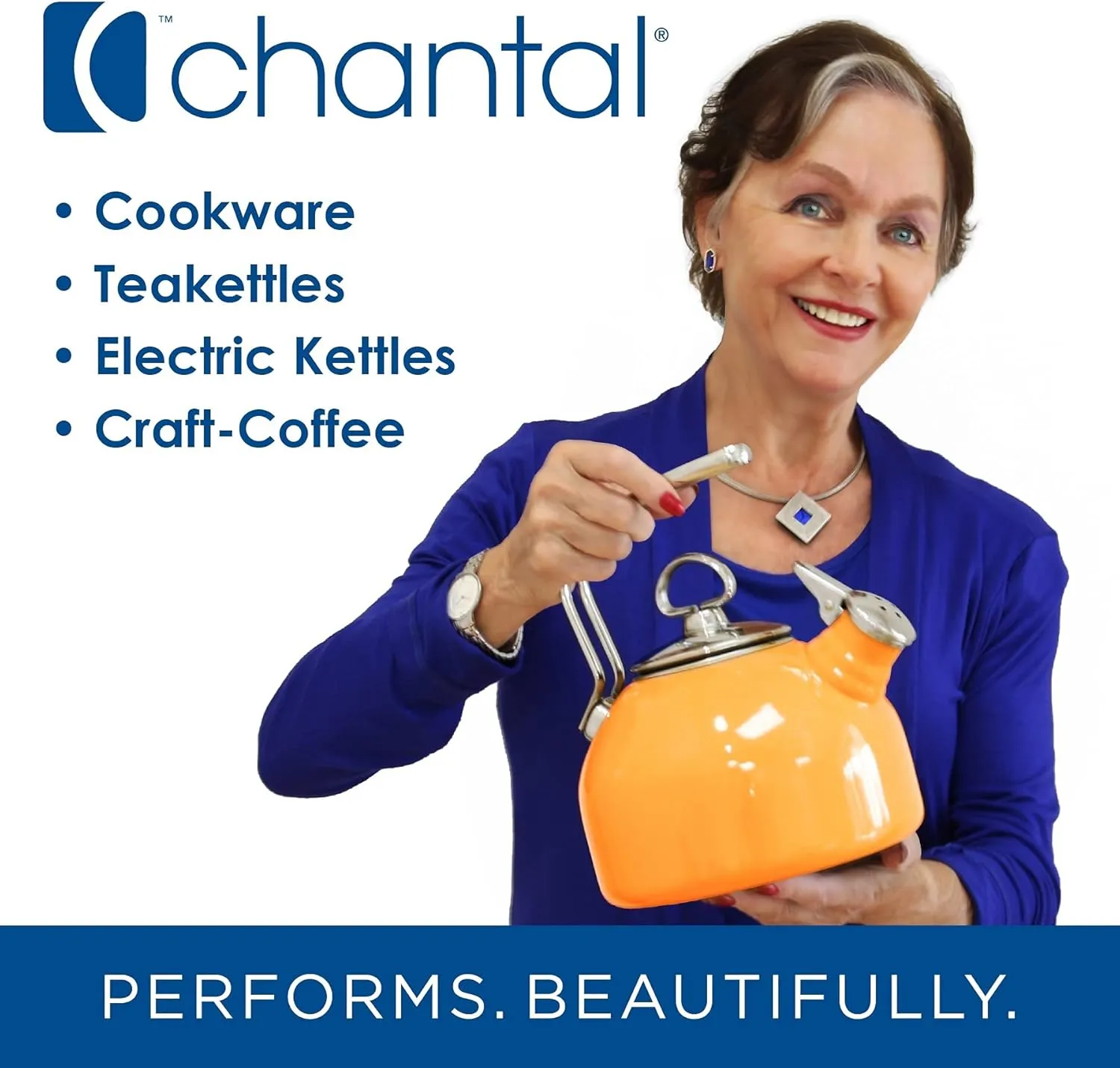 Chantal SLIN33-240 Induction 21 Steel Stockpot with Glass Tempered Lid (8-Quart)