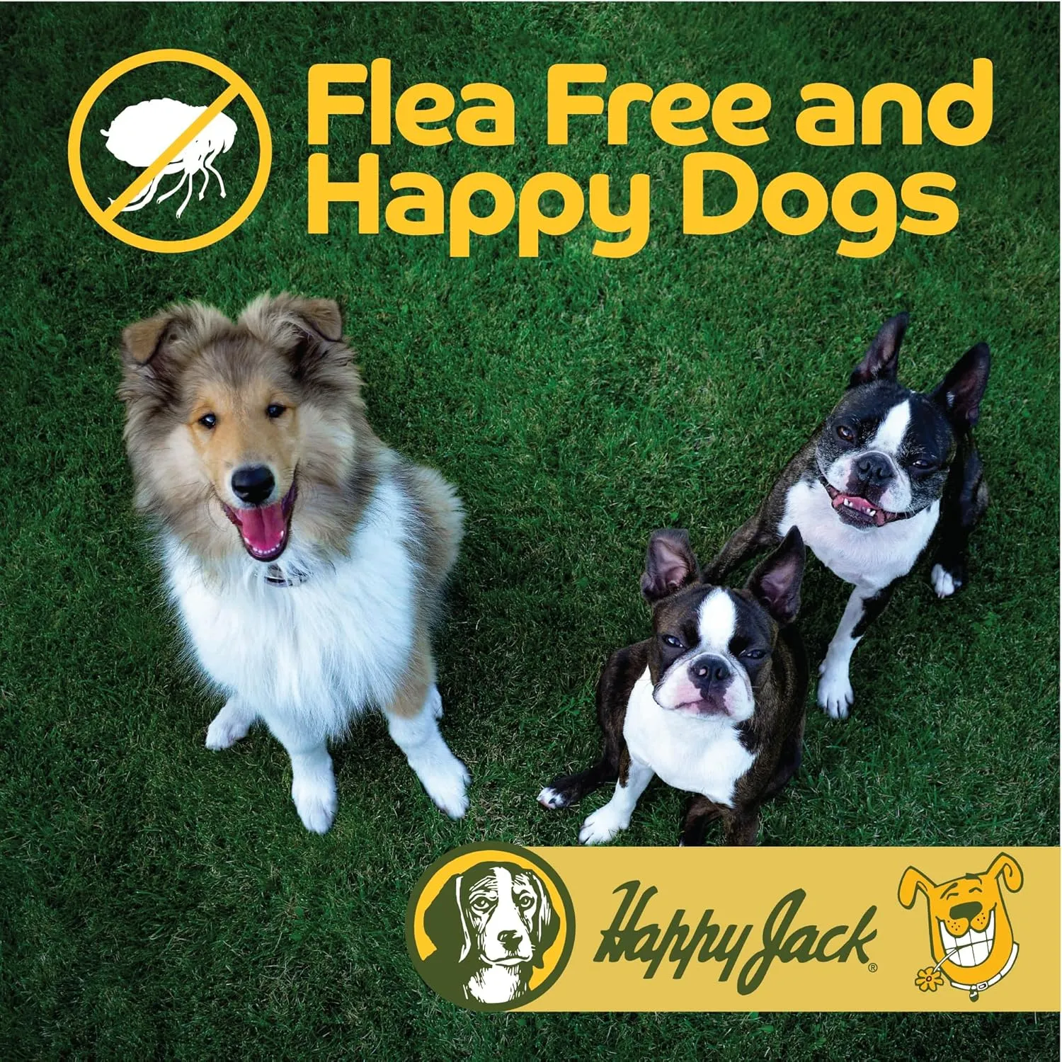 Happy Jack Flea and Tick Powder for Dogs & Puppies, Flea Powder for Carpets, Treatment & Control, Kills Pests, Ticks & Lice, Odorless & Non-Staining, Dust on Sleeping Quarters & Furniture (5 oz)