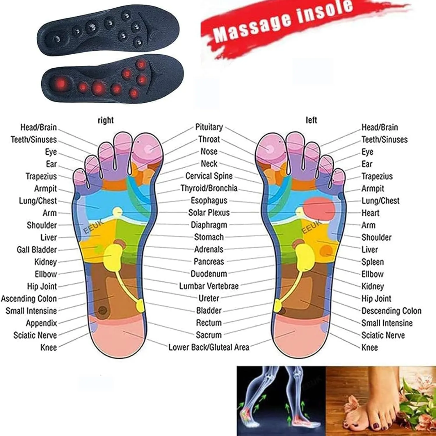 Massage Magnetic Acupressure Insoles, Acupressure Magnetic Massage Shoe Insoles, Foot Therapy Reflexology Orthotic Insoles for Flat Feet, Plantar Fasciitis,L,2 Pairs