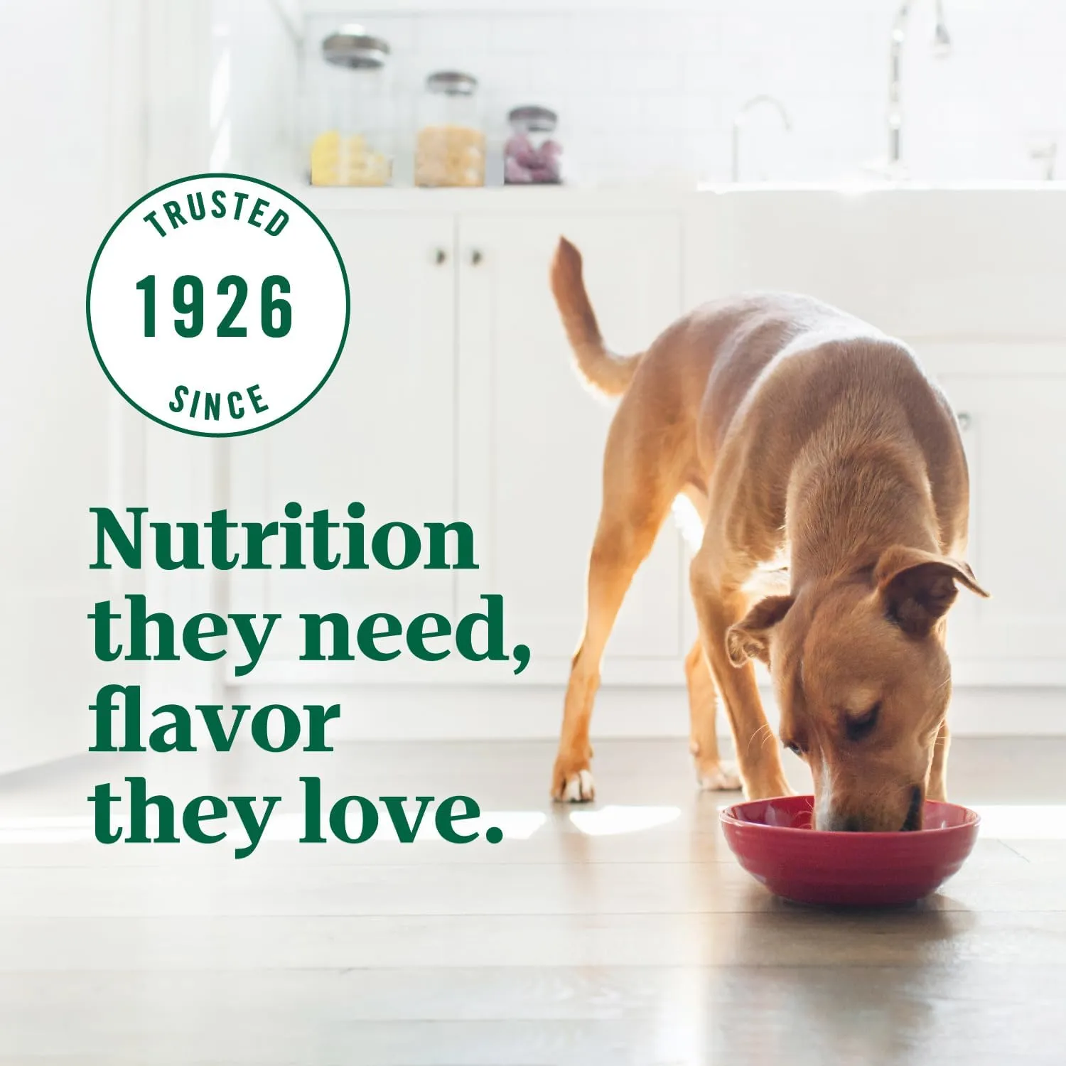 Nutro Ultra Adult Weight Management Dry Dog Food, Chicken, Lamb and Salmon Protein Trio, 13 lb. Bag
