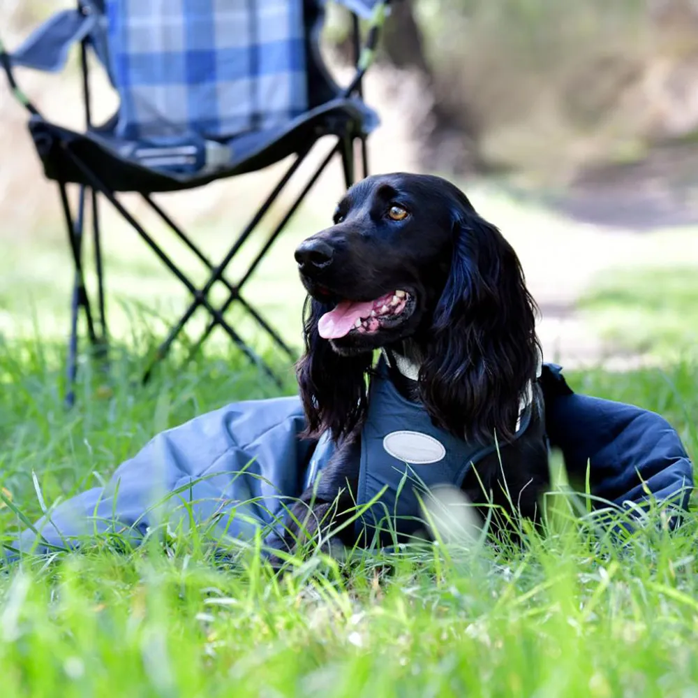 Weatherbeeta Explorer Dog Sleeping Bag
